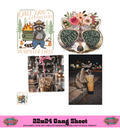 RACOON  -  COLLECTION GANG SHEET