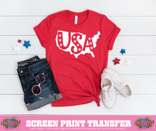 SINGLE COLOR SCREEN PRINT - USA FLAG