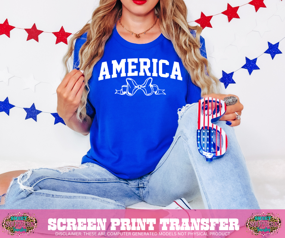 SINGLE COLOR SCREEN PRINT - AMERICA BOW