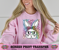 FULL COLOR SCREEN PRINT  - RAINBOW BUNNY