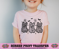 SINGLE COLOR SCREEN PRINT -3 BOOS