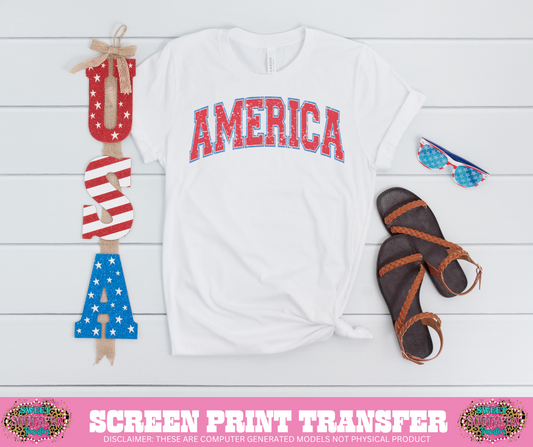 FULL COLOR SCREEN PRINT - AMERICA VARISTY