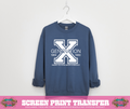 SINGLE COLOR SCREEN PRINT  - X GENERATION