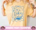 PACK OF 100 WHOLESALE - LAKE